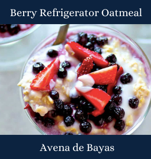 Berry Refrigerator Oatmeal